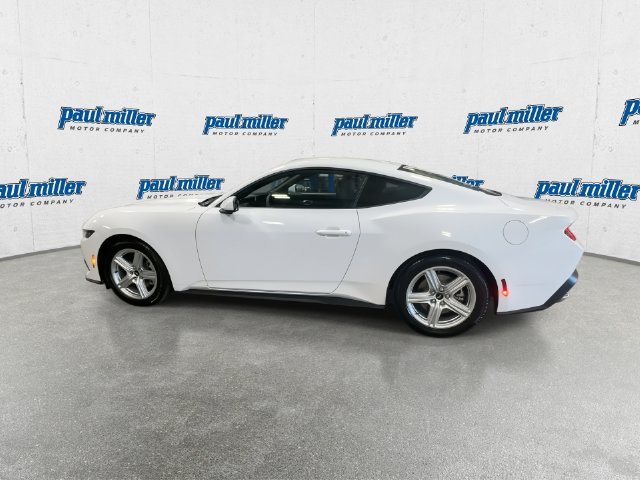 New 2026 Oxford White Ford EcoBoost® Fastback image 7
