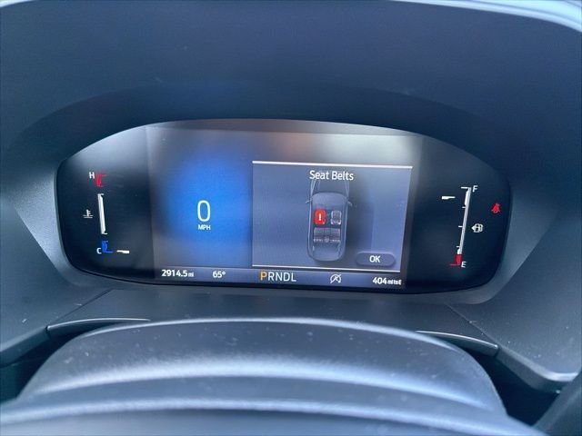 New 2026 Oxford White Ford Active® image 15