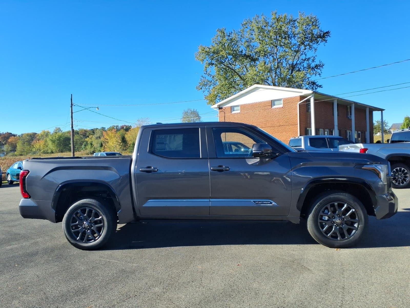 New 2026 Magnetic Gray Metallic Toyota Platinum image 2