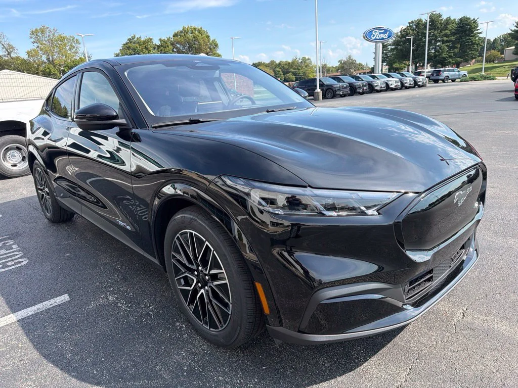 New 2026 Shadow Black Ford Premium image 7
