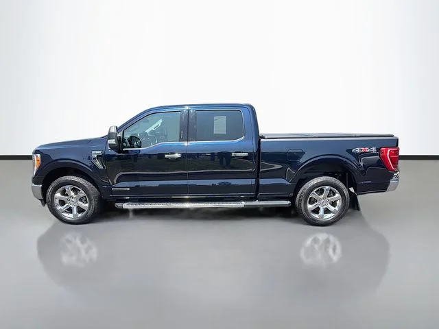 Used 2023 Blue Ford XLT image 4