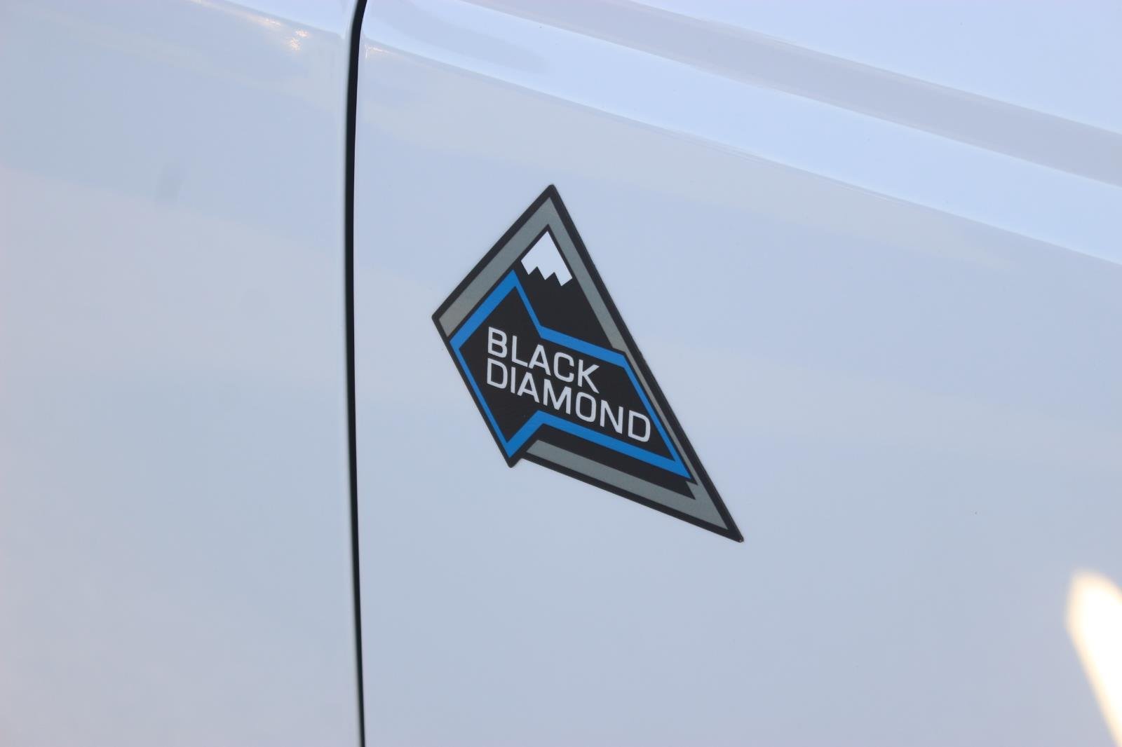 Used 2024 White Ford Black Diamond image 10