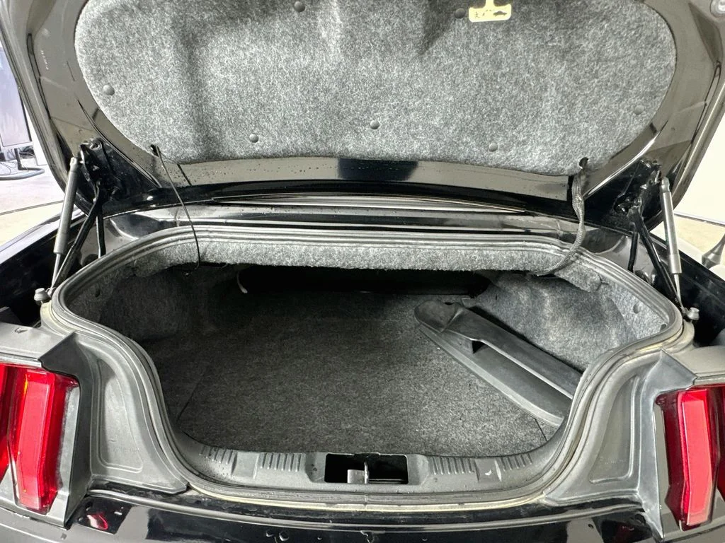 Used 2018 Black Ford GT Premium image 30