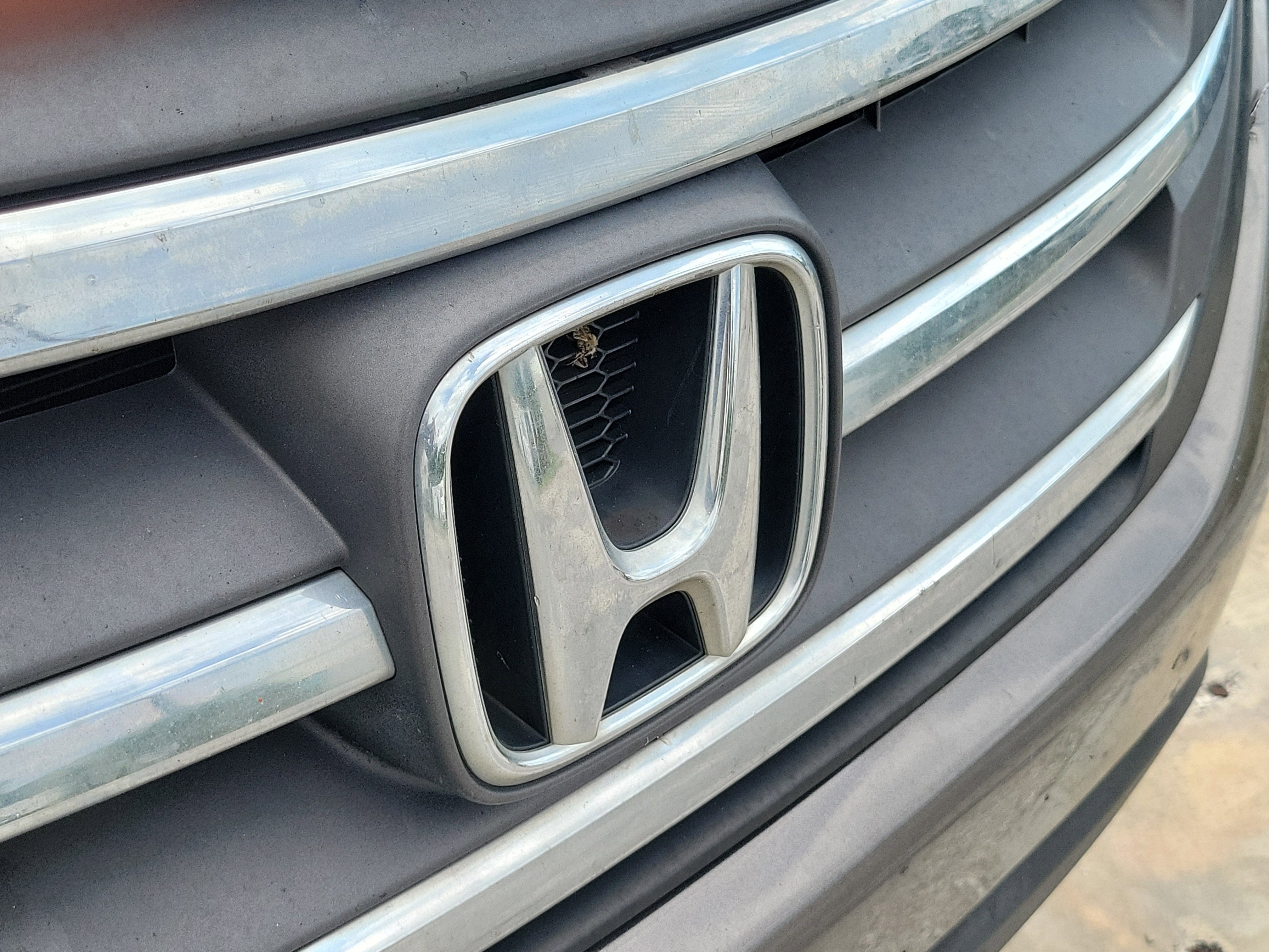 Used 2013  Honda LX image 9