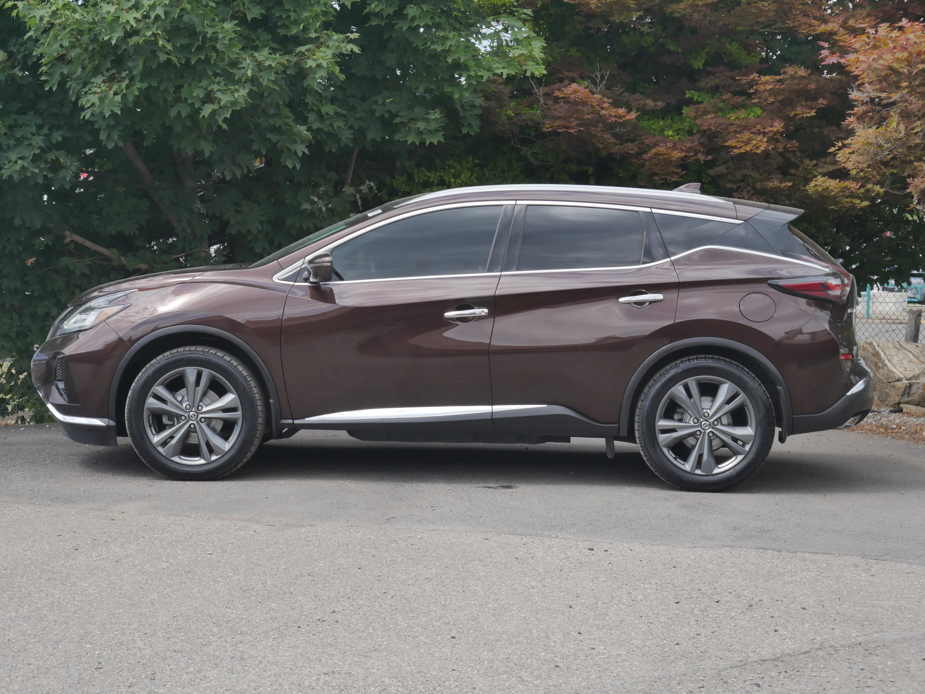 Used 2019 Mocha Almond Pearl Nissan Platinum image 13
