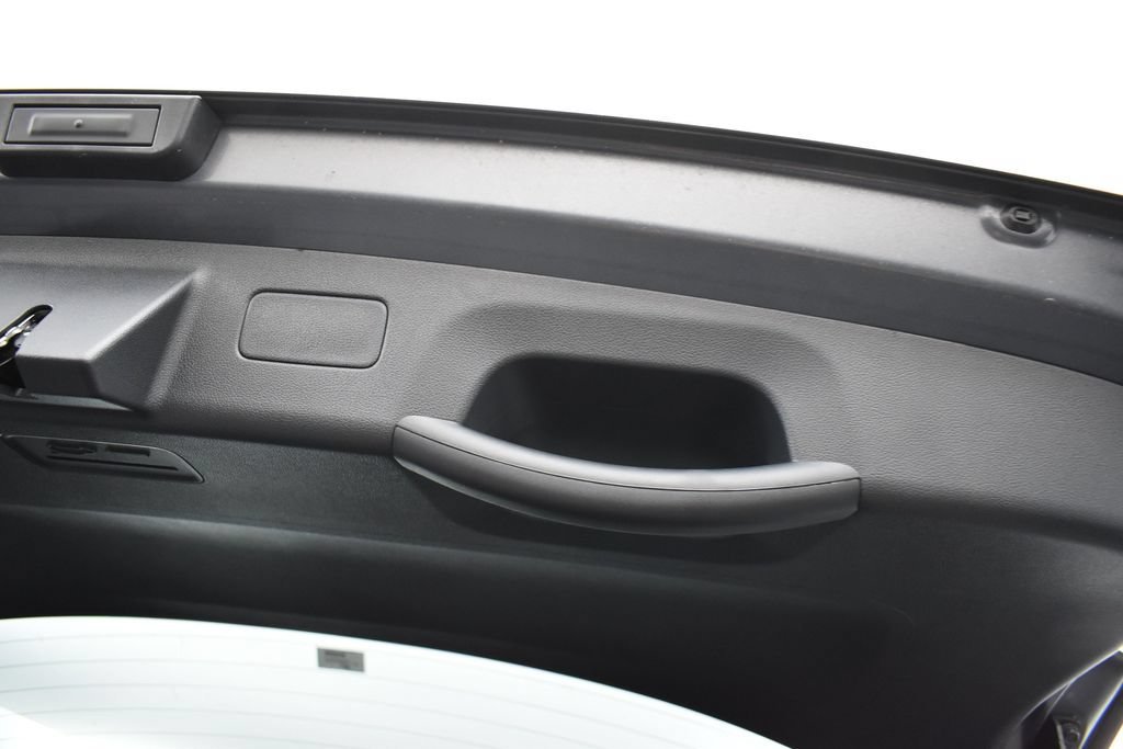 New 2026 Panthera Metal Kia LX image 20