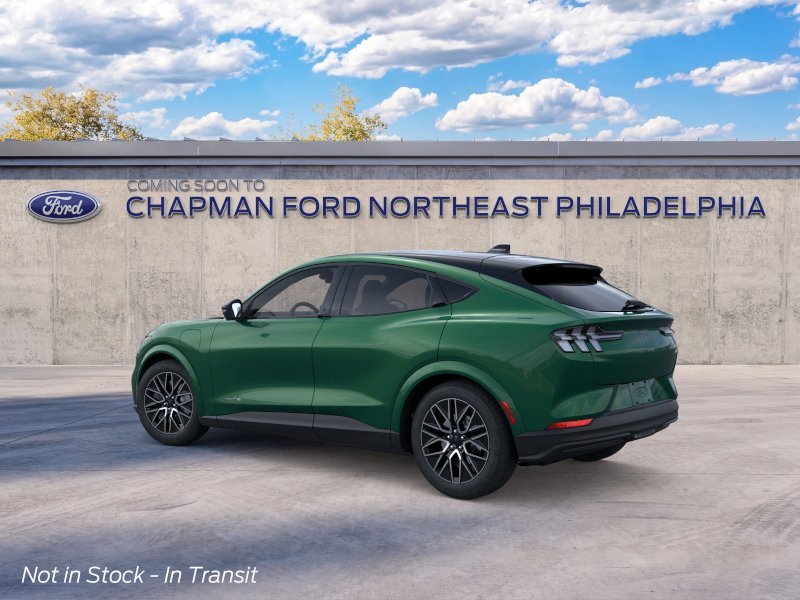 New 2026 Eruption Green Metallic Ford Premium image 4