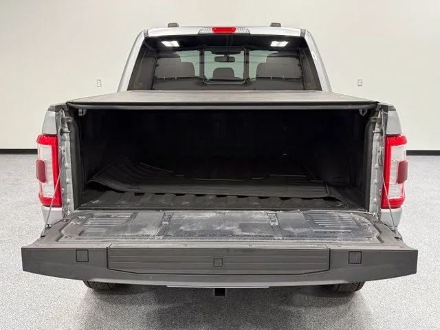 Used 2023 Silver Ford Platinum image 12