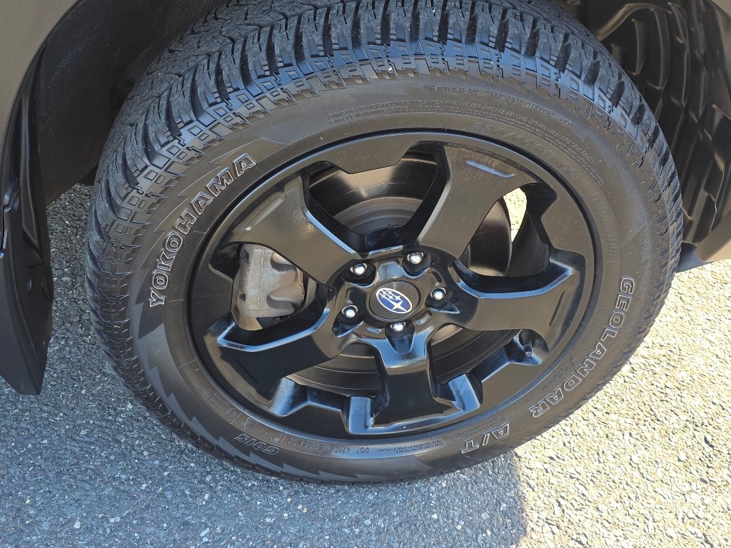 Used 2023 Magnetite Gray Metallic Subaru Wilderness image 19