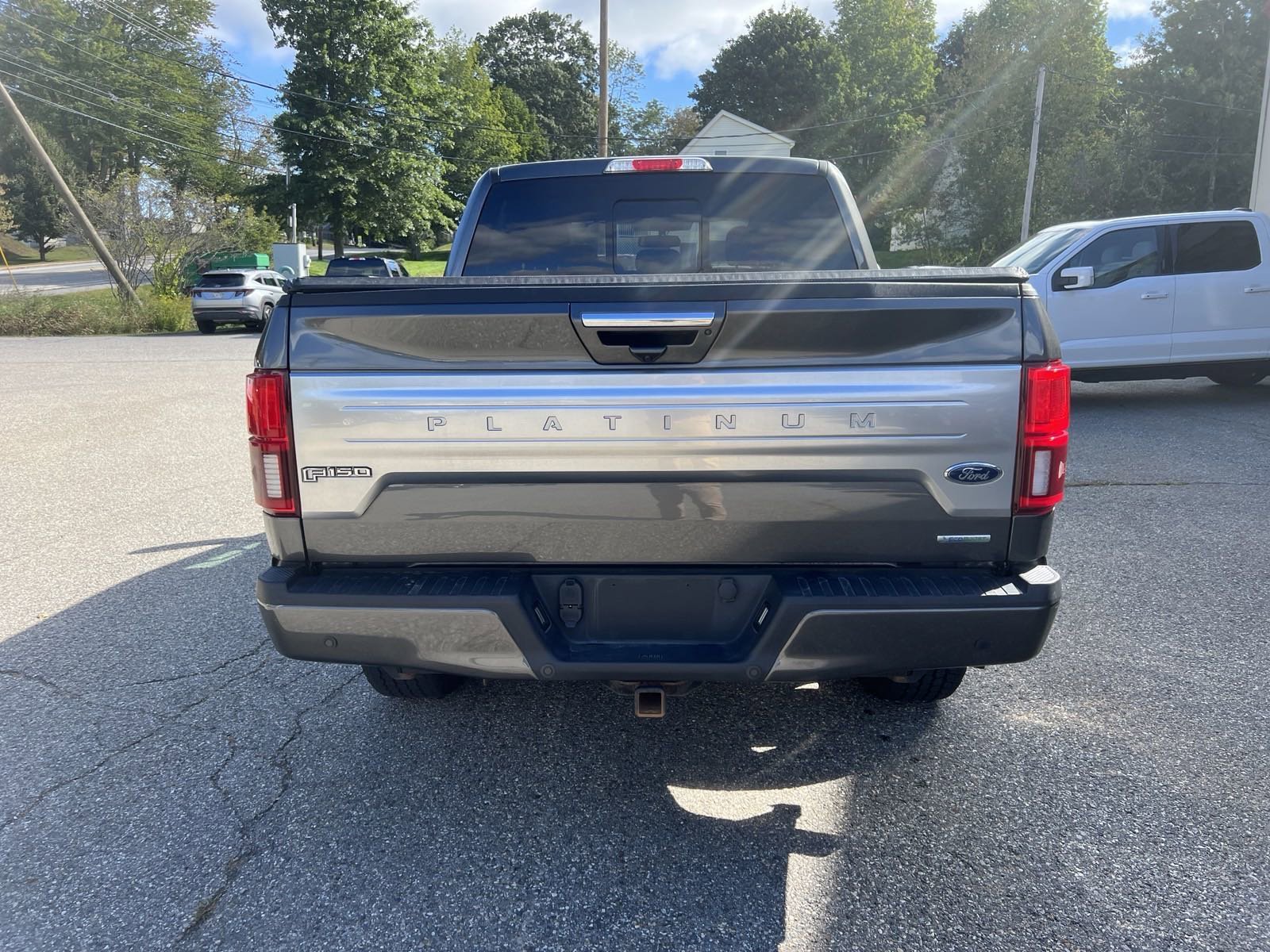 2019 Ford F-150 Platinum - Photo 6