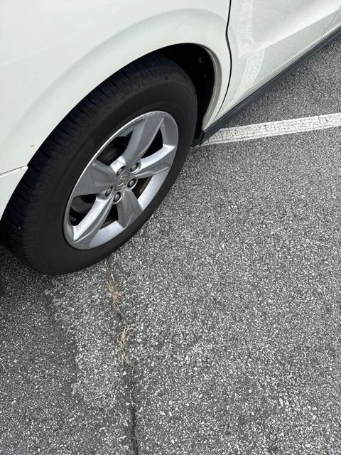 Certified Used 2019 White Honda EX-L image 6