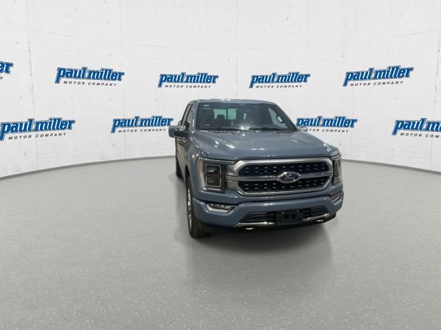 Certified Used 2023 Gray Ford Platinum image 3