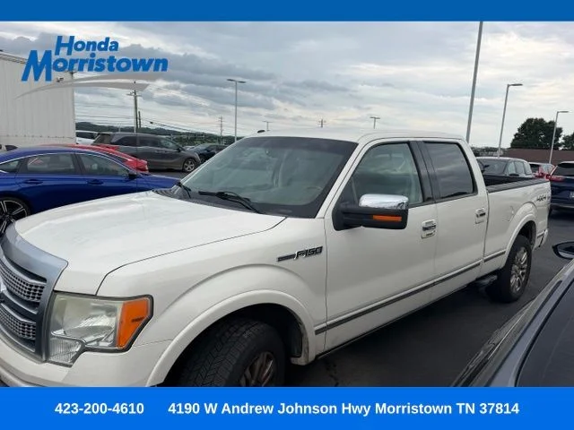 2009 Ford F-150 Platinum 4x4 SuperCrew 145-in's photo