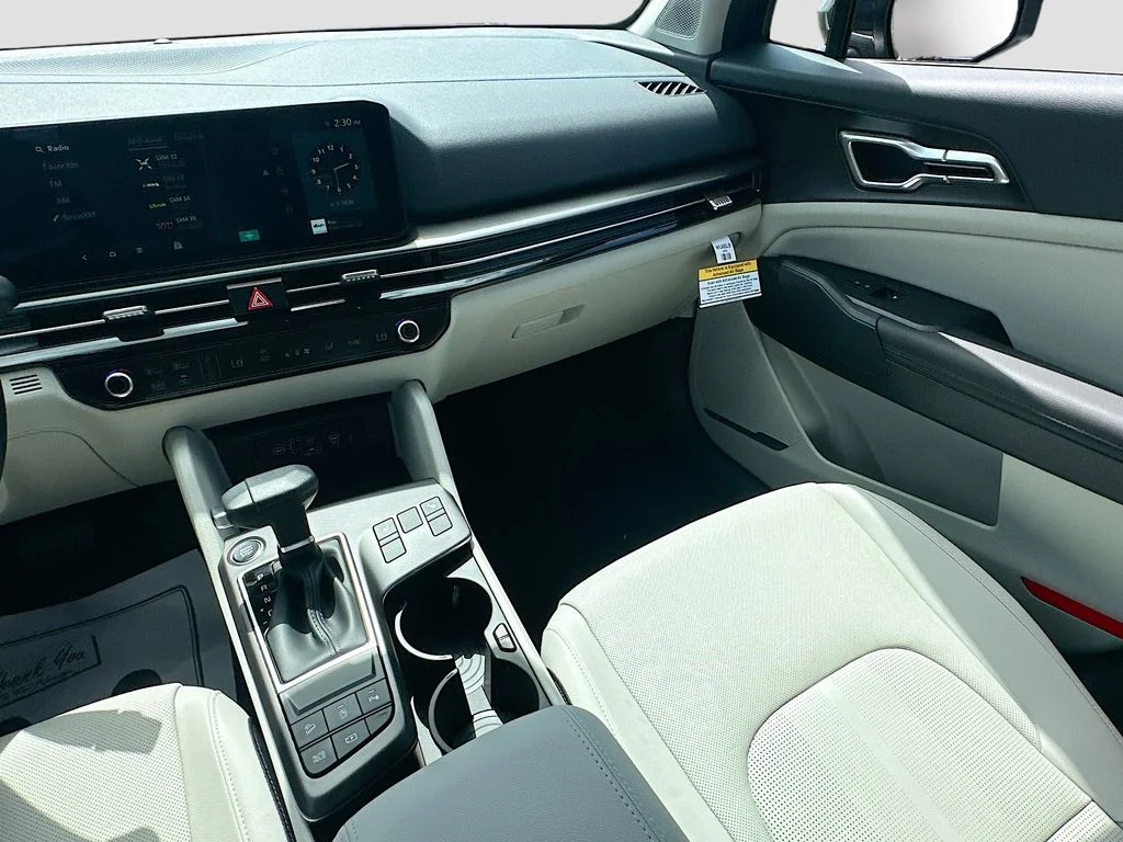 New 2026 Panthera Metal Kia EX image 23