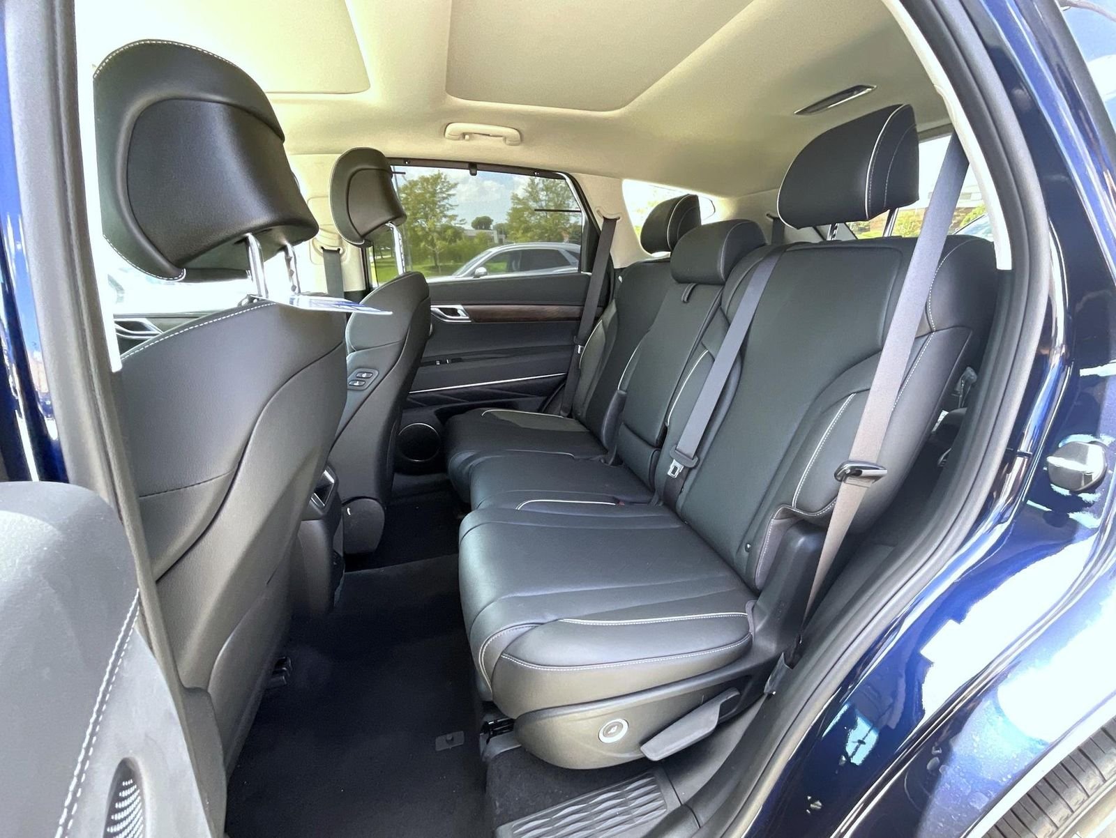 New 2025 Blue Genesis 3.5T Advanced image 11