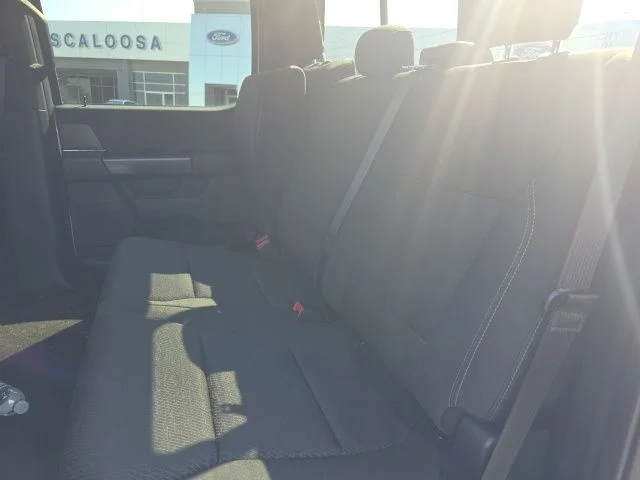 Used 2024 White Ford XLT image 10