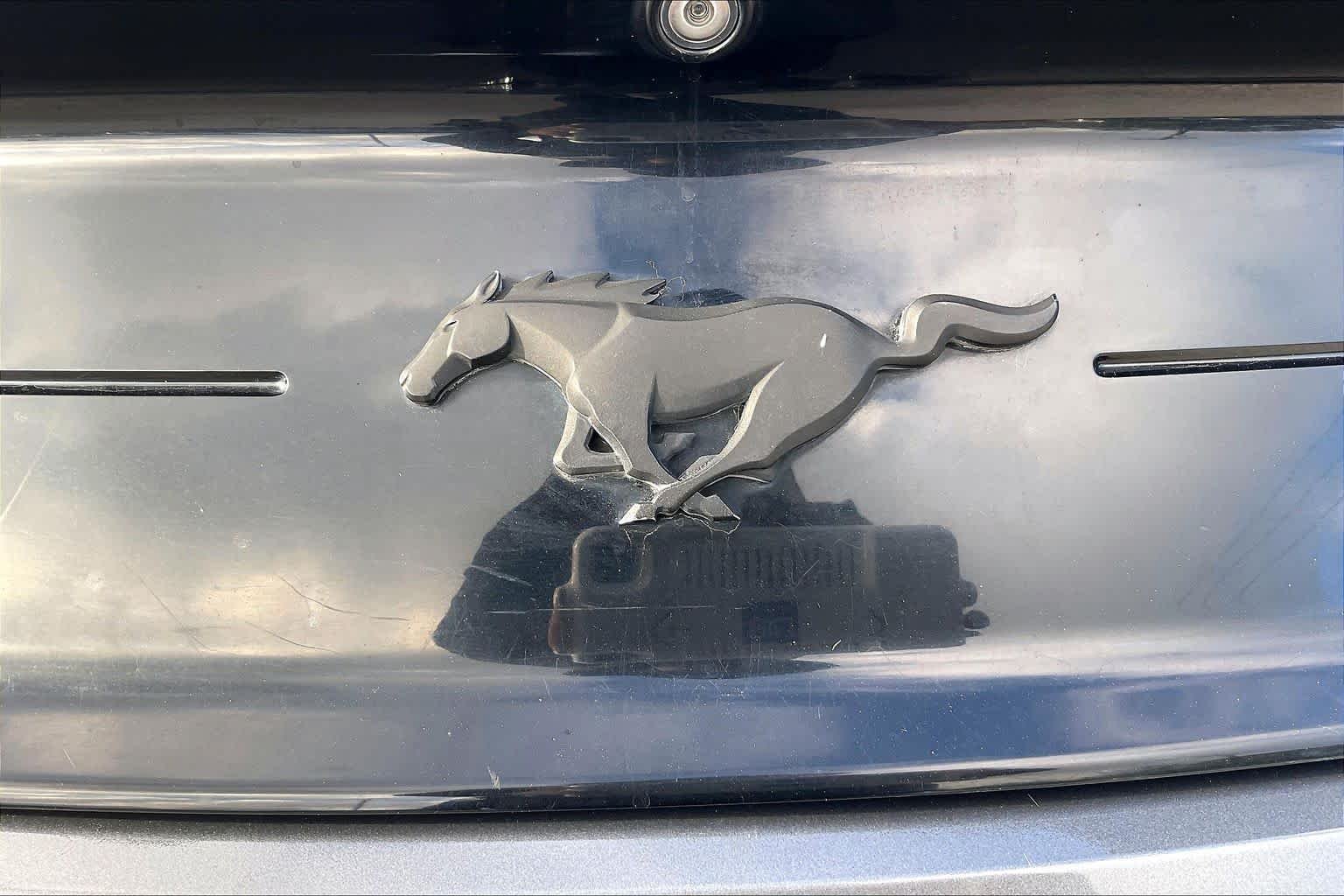 Used 2021 Carbonized Gray Metallic Ford EcoBoost image 10