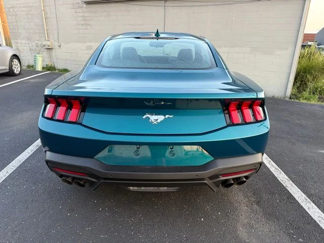 Used 2026 Blue Ford EcoBoost Premium image 3