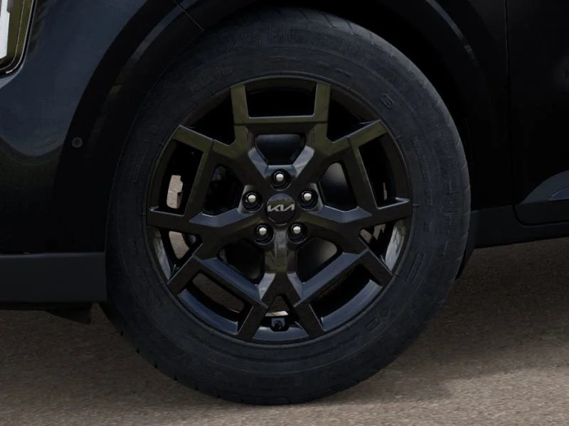 New 2025 Panthera Metal Kia SX Prestige image 9