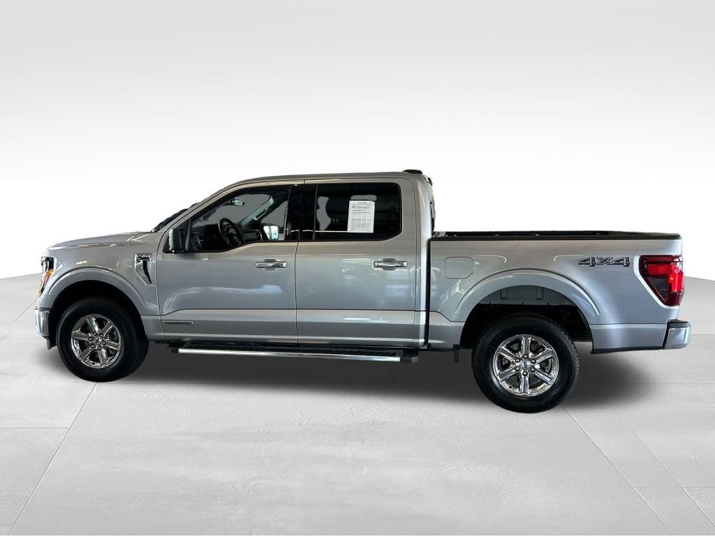 Used 2024 Silver Ford XLT image 2