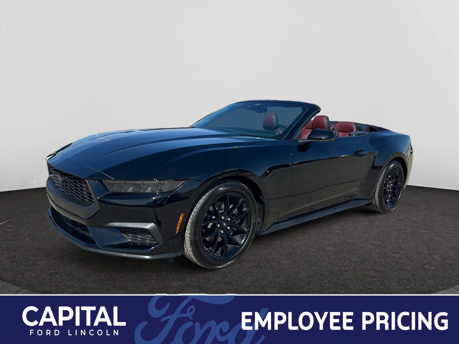 New 2026 Shadow Black Ford EcoBoost Premium image 1
