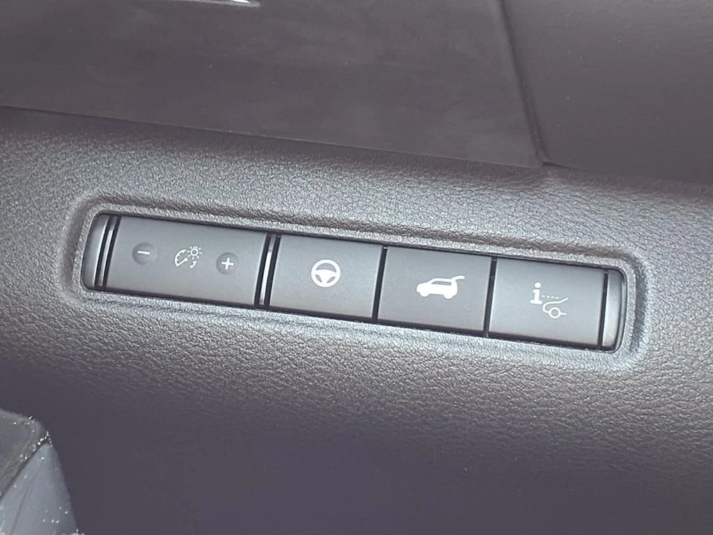 New 2026 Super Black Nissan Platinum image 17