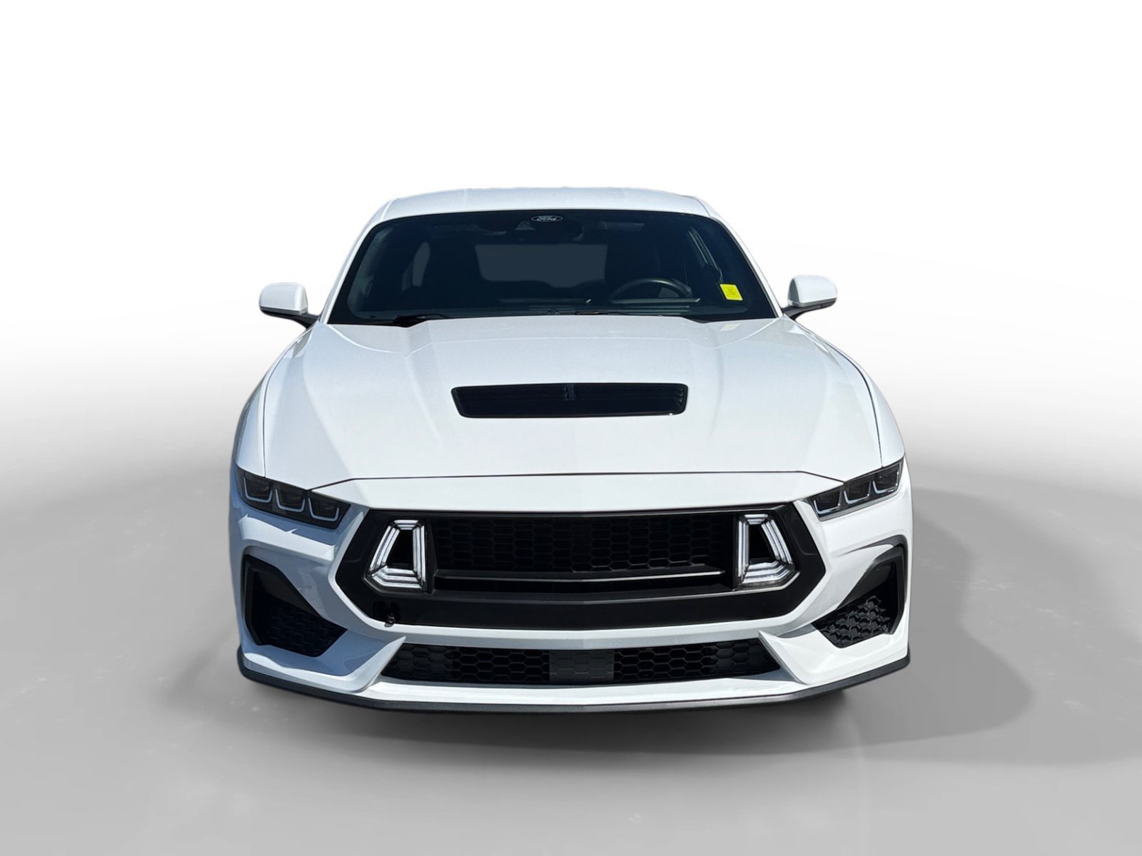New 2026 Eruption Green Metallic Ford Premium image 8