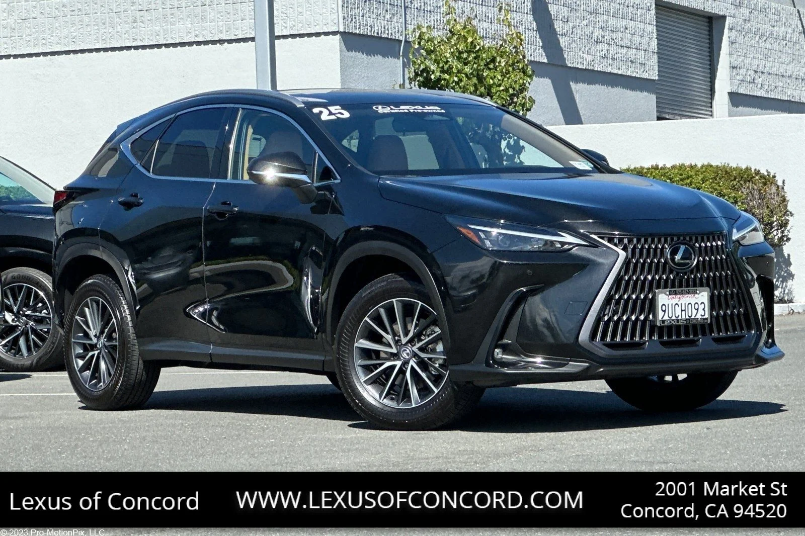 2025 Lexus NX 350 350 Premium AWD's photo