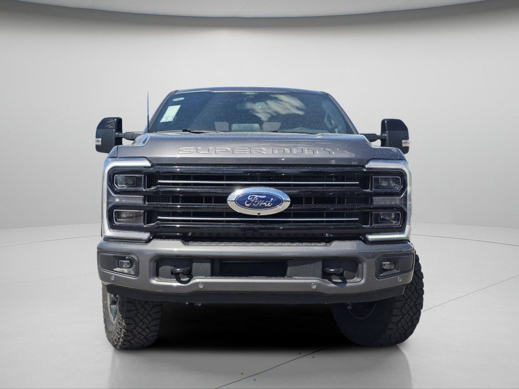 New 2026 Carbonized Gray Metallic Ford Platinum image 3