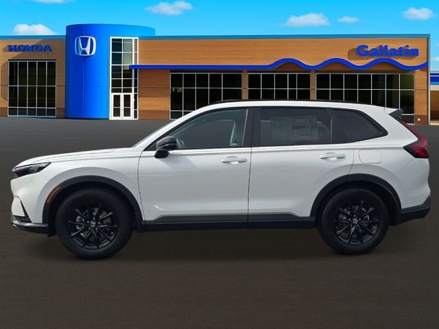 New 2026 Platinum White Pearl Honda Sport-L image 2
