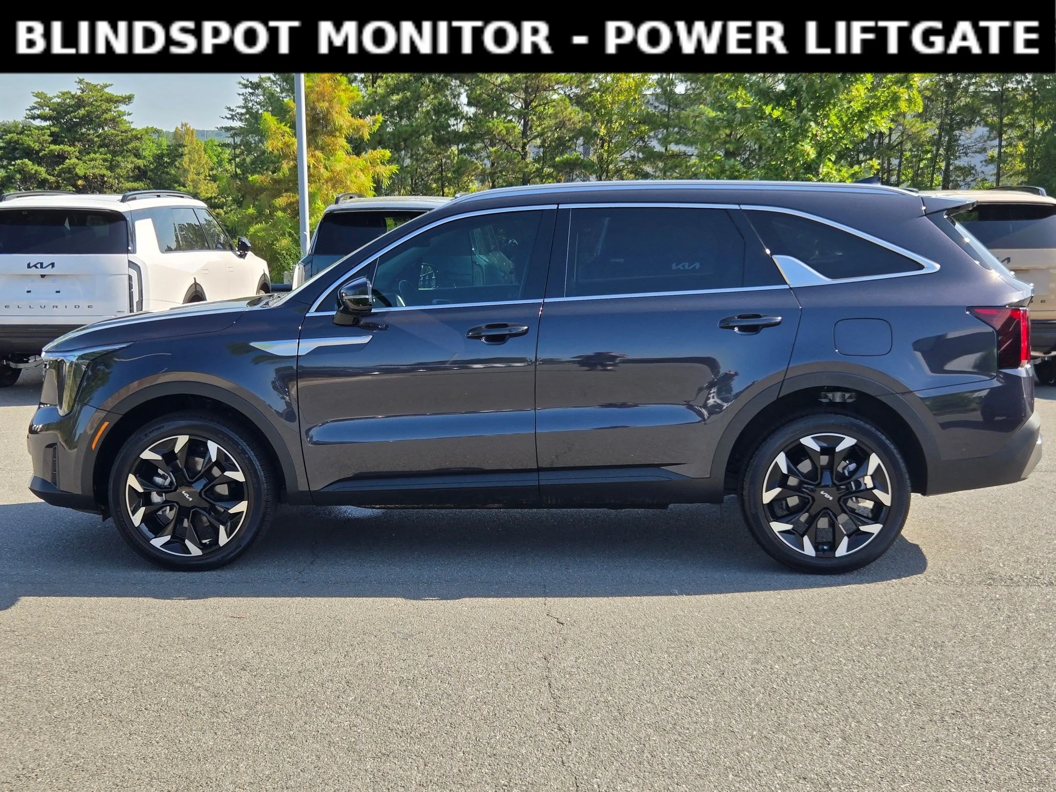 Used 2025 Panthera Metal Kia EX image 4