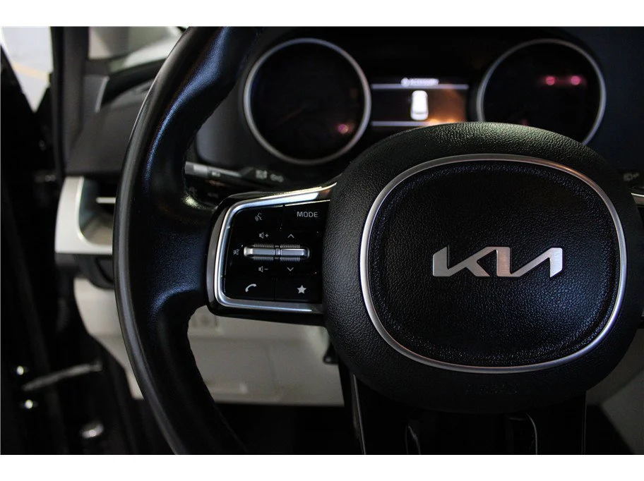 Used 2024 Panthera Metal Kia LX image 19