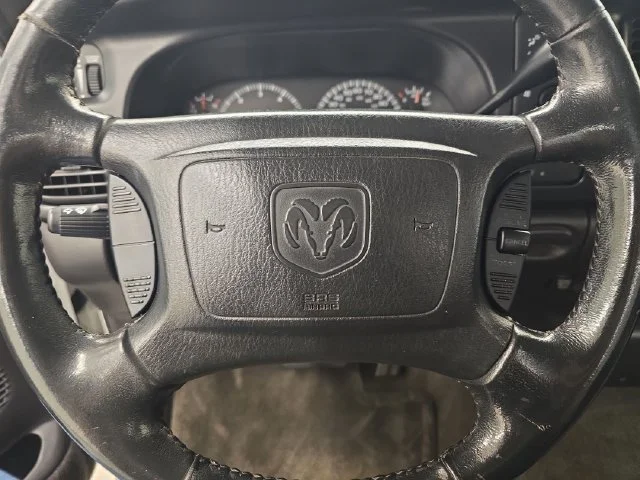 Used 2002  Dodge ST image 18