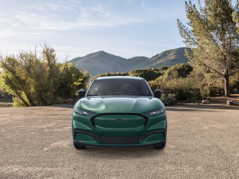 New 2026 Eruption Green Metallic Ford Premium image 28