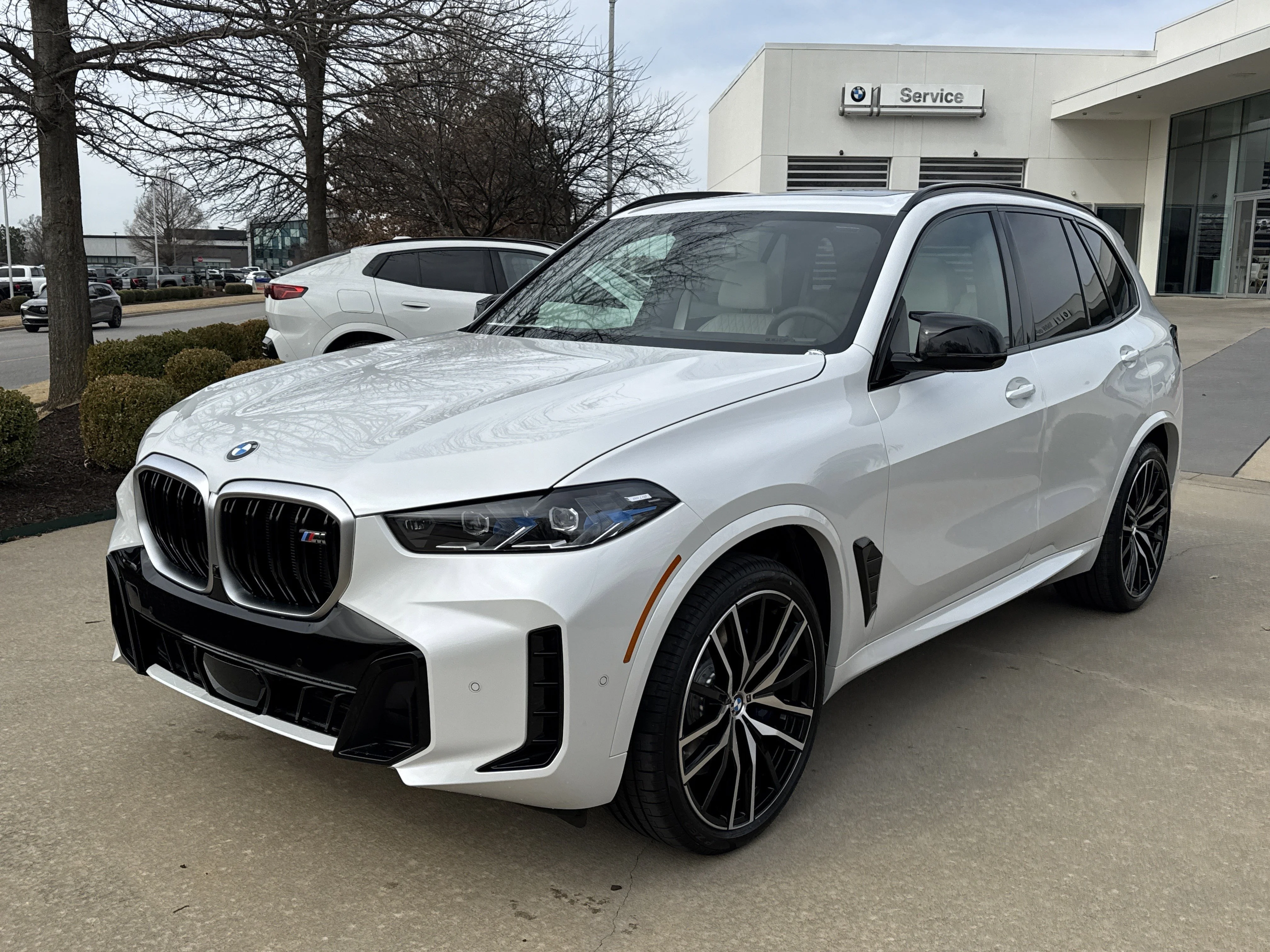 2026 BMW X5 M60i's photo