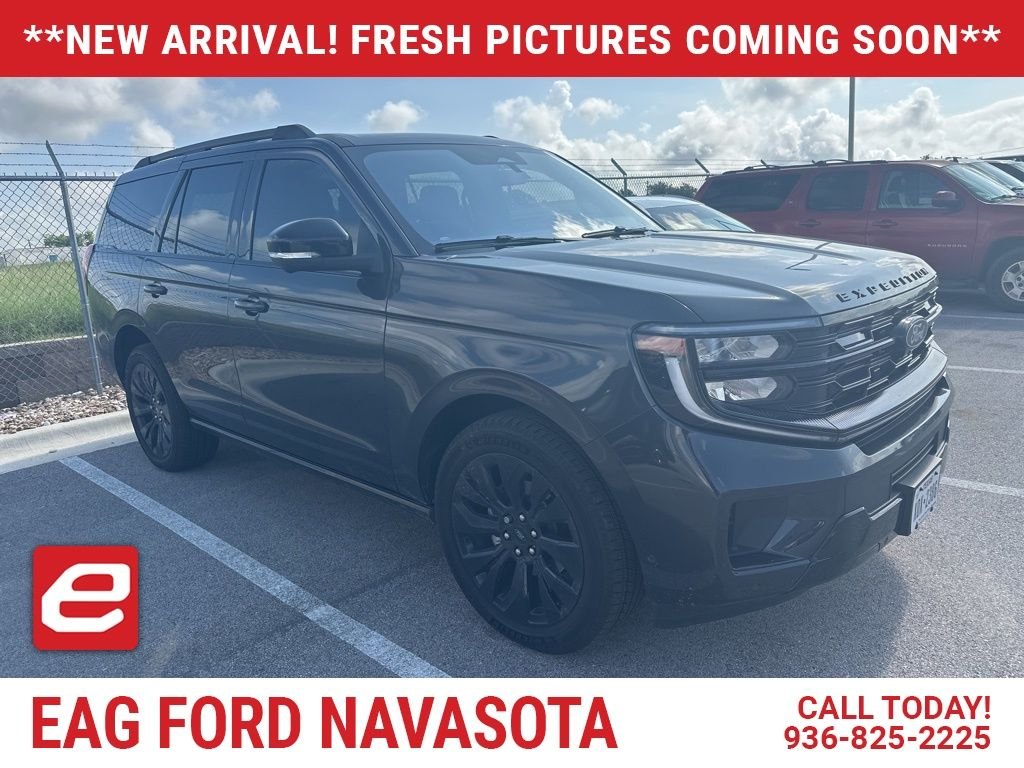 2025 Ford Expedition Platinum 4x4's photo