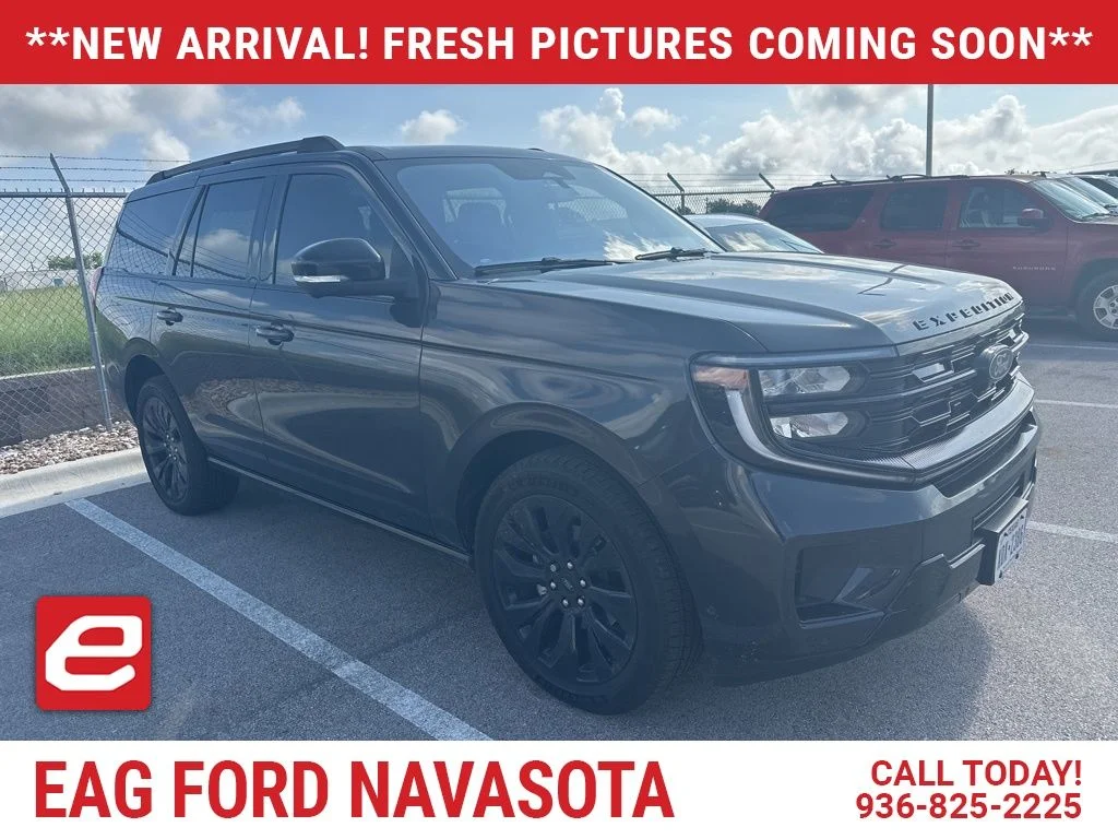 2025 Ford Expedition Platinum 4x4's photo