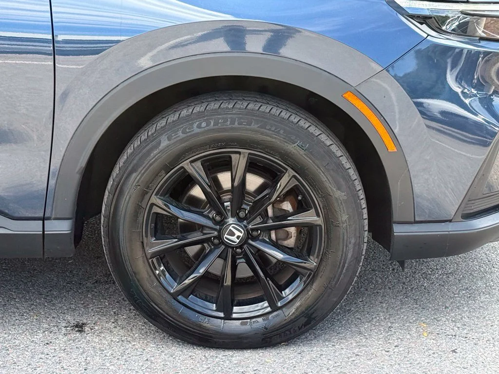 Used 2024 Blue Honda Sport image 12