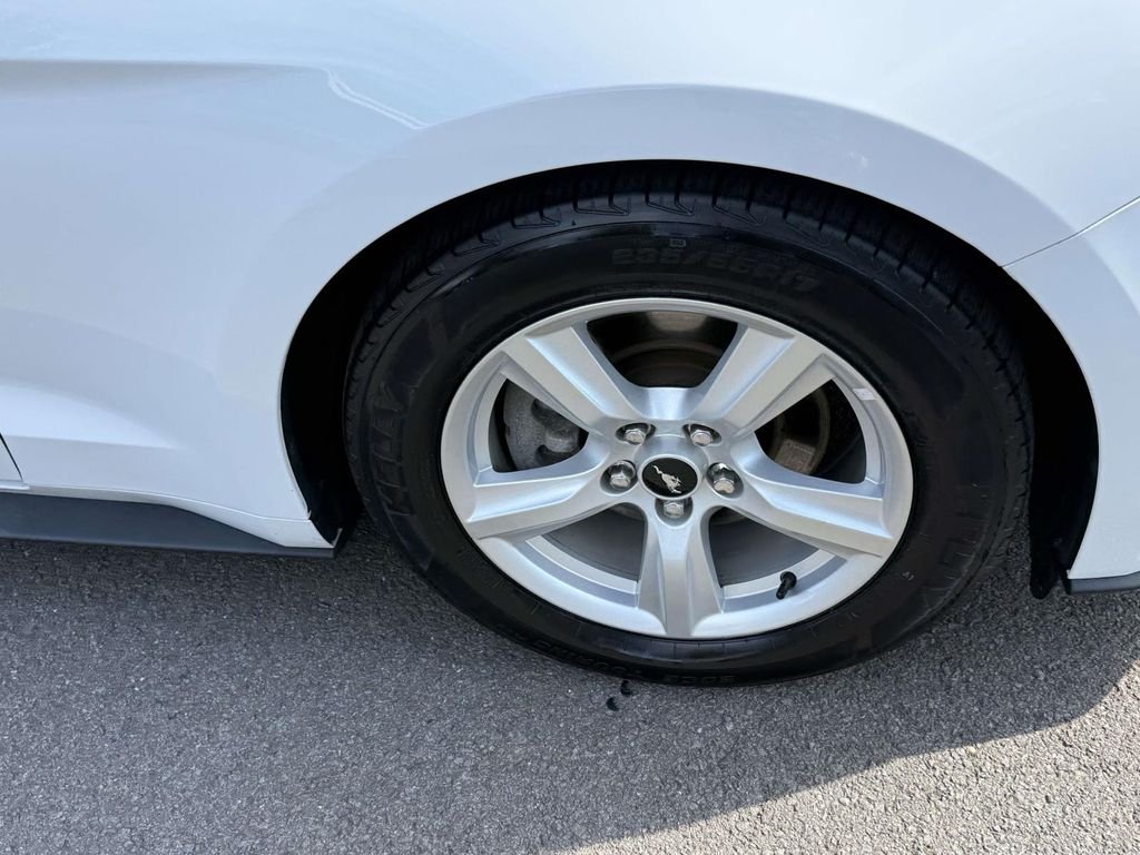 Used 2019 White Ford EcoBoost image 11