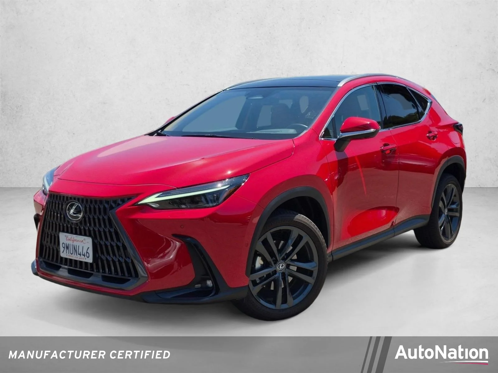 2025 Lexus NX