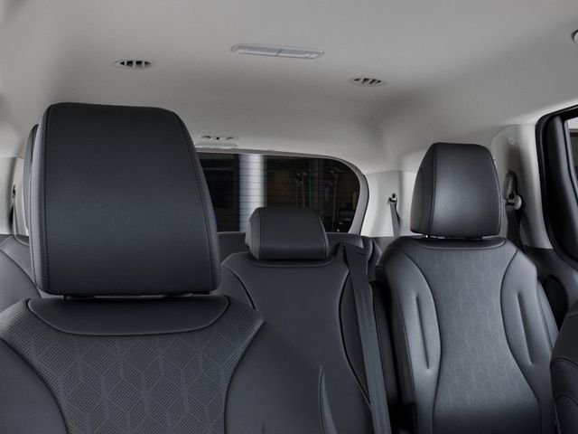 New 2026 Panthera Metal Kia EX image 27