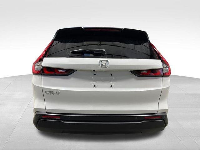 New 2026 Platinum White Pearl Honda EX-L image 5