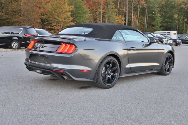 Used 2019 Gray Ford EcoBoost image 5
