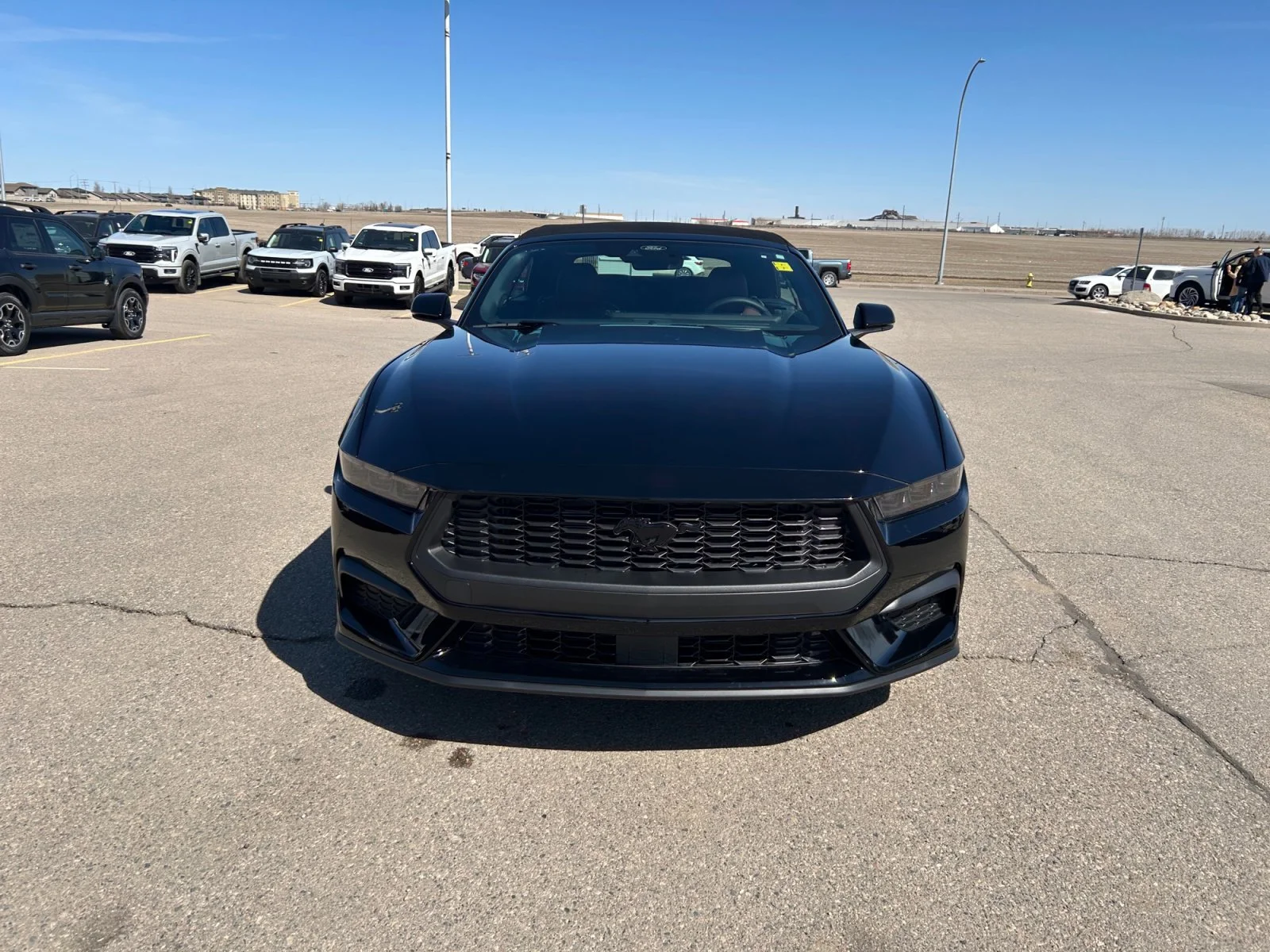 New 2026 Shadow Black Ford EcoBoost Premium image 30
