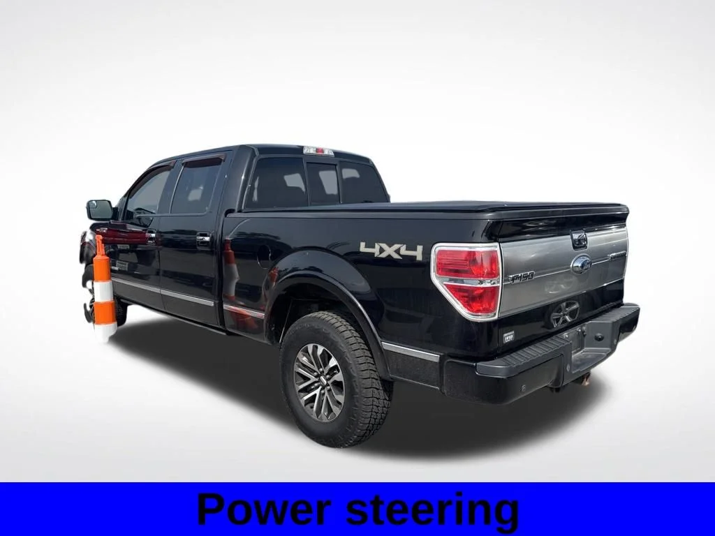 Used 2014 Brown Ford Platinum image 4