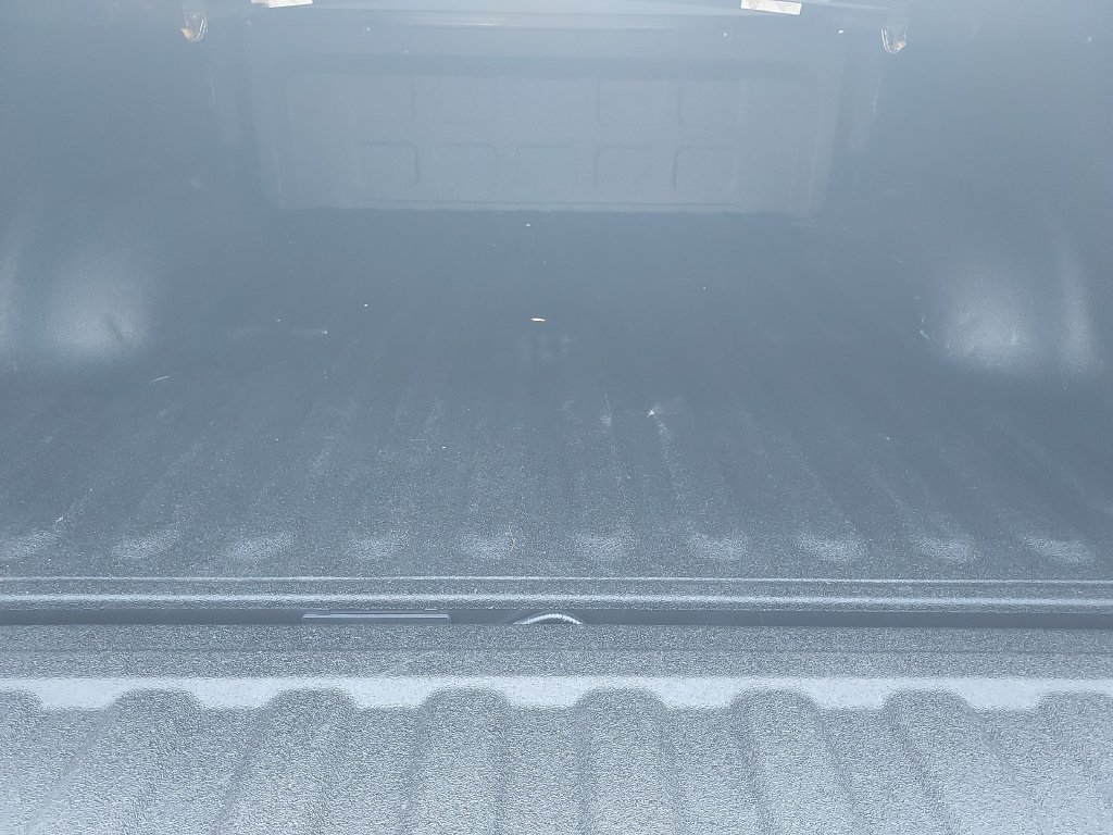 Used 2022 Gray Ram Longhorn image 9