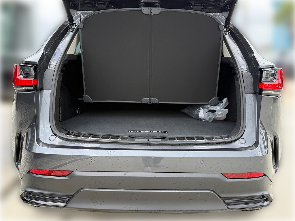 Certified Used 2025 Cloudburst Gray Lexus Premium image 8