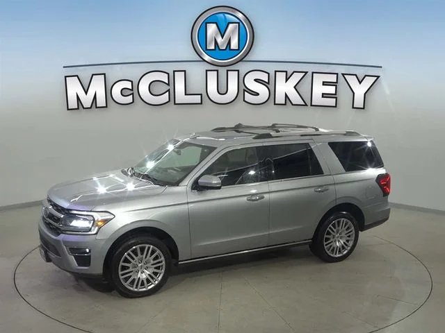 Used 2024 Silver Ford Limited image 1