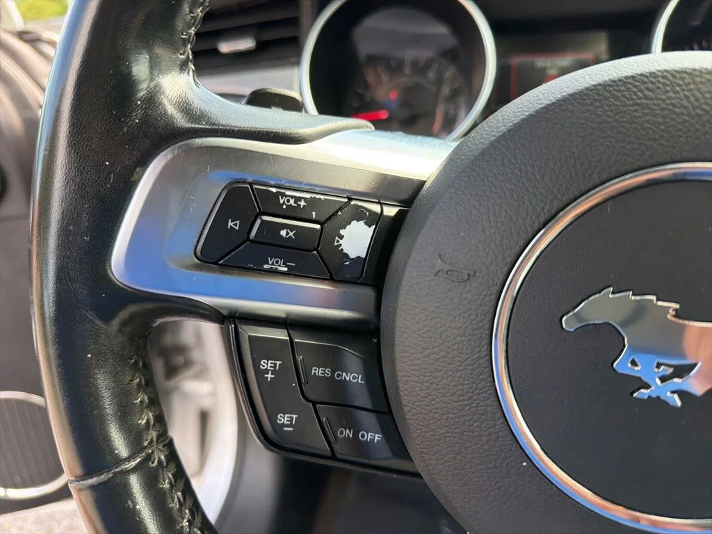 Used 2018 Silver Ford EcoBoost Premium image 15
