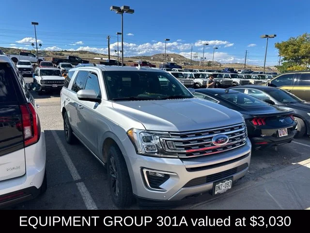 Used 2019 Silver Ford Limited image 3